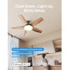 imageDreo Smart Ceiling Fans with Lights Low profile Ceiling Fan with AlexaApp 52 Dimmable Lighting ampamp Color Tuning RGB Ambient Light for Living Room Game Room Easy Installation Quiet BlackBlack