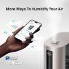 imageDreo 6L Humidifiers for Bedroom Smart Warm ampamp Cool Mist for Large Room 60Hr Quiet Runtime Ultrasonic Oil Diffuser for Baby Plant Humidity Sensor Indicator Light 12H Timer GoogleAlexa HM713SGold
