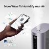 imageDreo 6L Humidifiers for Bedroom Smart Warm ampamp Cool Mist for Large Room 60Hr Quiet Runtime Ultrasonic Oil Diffuser for Baby Plant Humidity Sensor Indicator Light 12H Timer GoogleAlexa HM713SPurple
