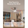 imageDreo Ceiling Fans with Lights 42 Inch 6 Speeds 6Level Dimmable 5CCT Quiet Remote Control Reversible DC Motor Quickinstall 8H Timer Black Ceiling Fan for Bedroom Indoor Living RoomBlack
