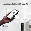 image:imageDREO 6L Humidifiers for Bedroom Smart Warm amp Cool Mist for Large Room 60Hr Quiet Runtime for Baby Plant Humidity Sensor Indicator Light 12H Timer GoogleAlexa BlackGrey