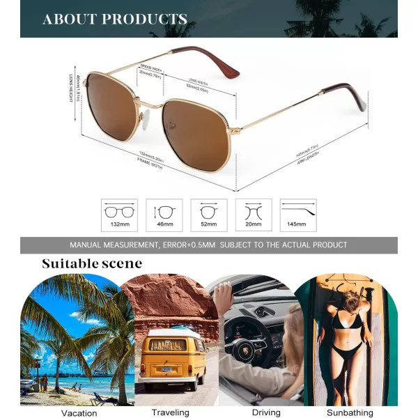 KALIYADI Sunglasses for Women and Men Polarized Square UV Protection Trendy Metal Frame Hexagon SunglassesA10 2 Pack GoldBrown  GoldBlue Hexagonal