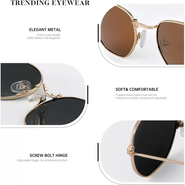 KALIYADI Sunglasses for Women and Men Polarized Square UV Protection Trendy Metal Frame Hexagon SunglassesA10 2 Pack GoldBrown  GoldBlue Hexagonal