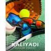 imageKALIYADI Mens SunGlasses Polarized SunglassesMen Classic Sunglasses with UV400 Protection for Fishing Golf DrivingIce BlueDark BlueGreenRed