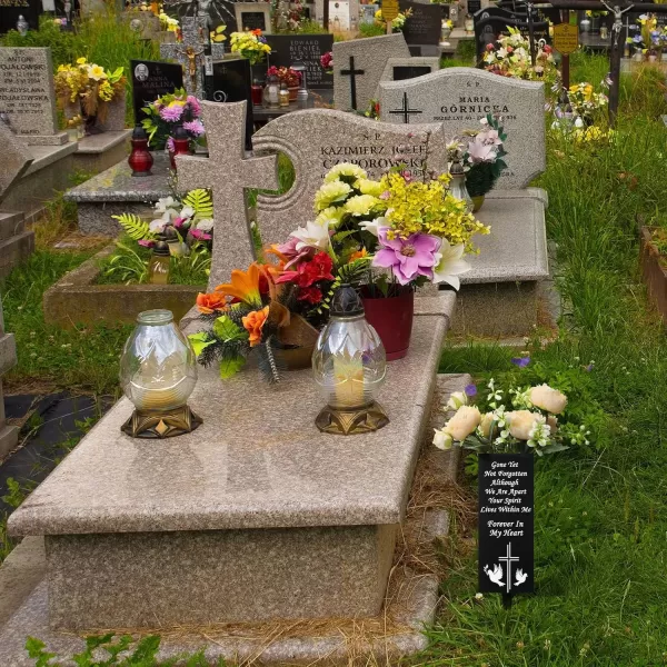 Geosar Cemetery Vases with Spikes Grave Vases for Cemetery Metal Funeral Flower Holder in Loving Memory Sign Memorial Gifts for Loss of Loved One Grave Marker DecorationIll Miss YouForever In My Heart