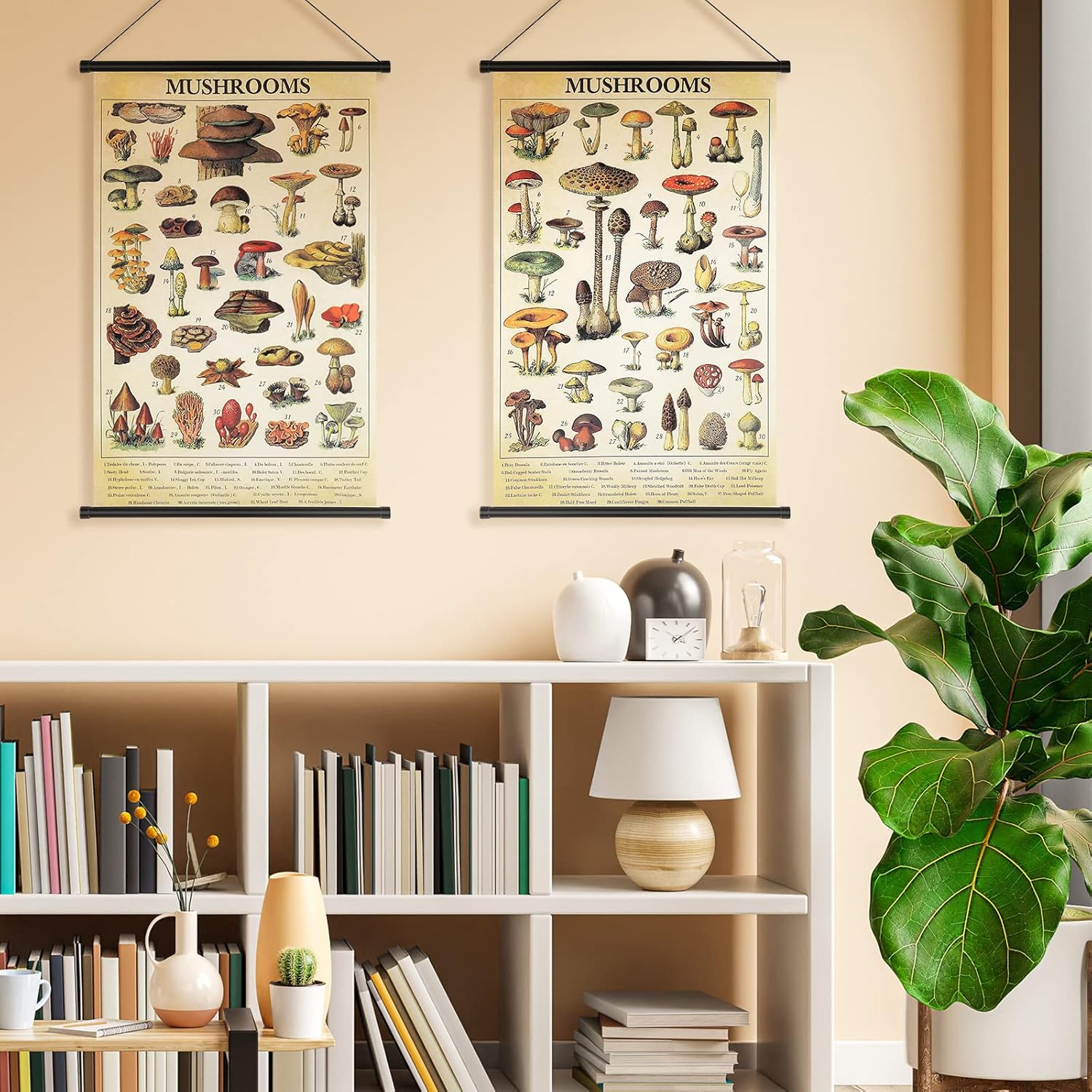 Geosar 2 Pcs Vintage Poster Fungus Art Prints Rustic Wall Hanging Illustrative Reference Chart Poster for Living Room Office Bedroom Decor Frame 1535 x 2362 InchesMushroom