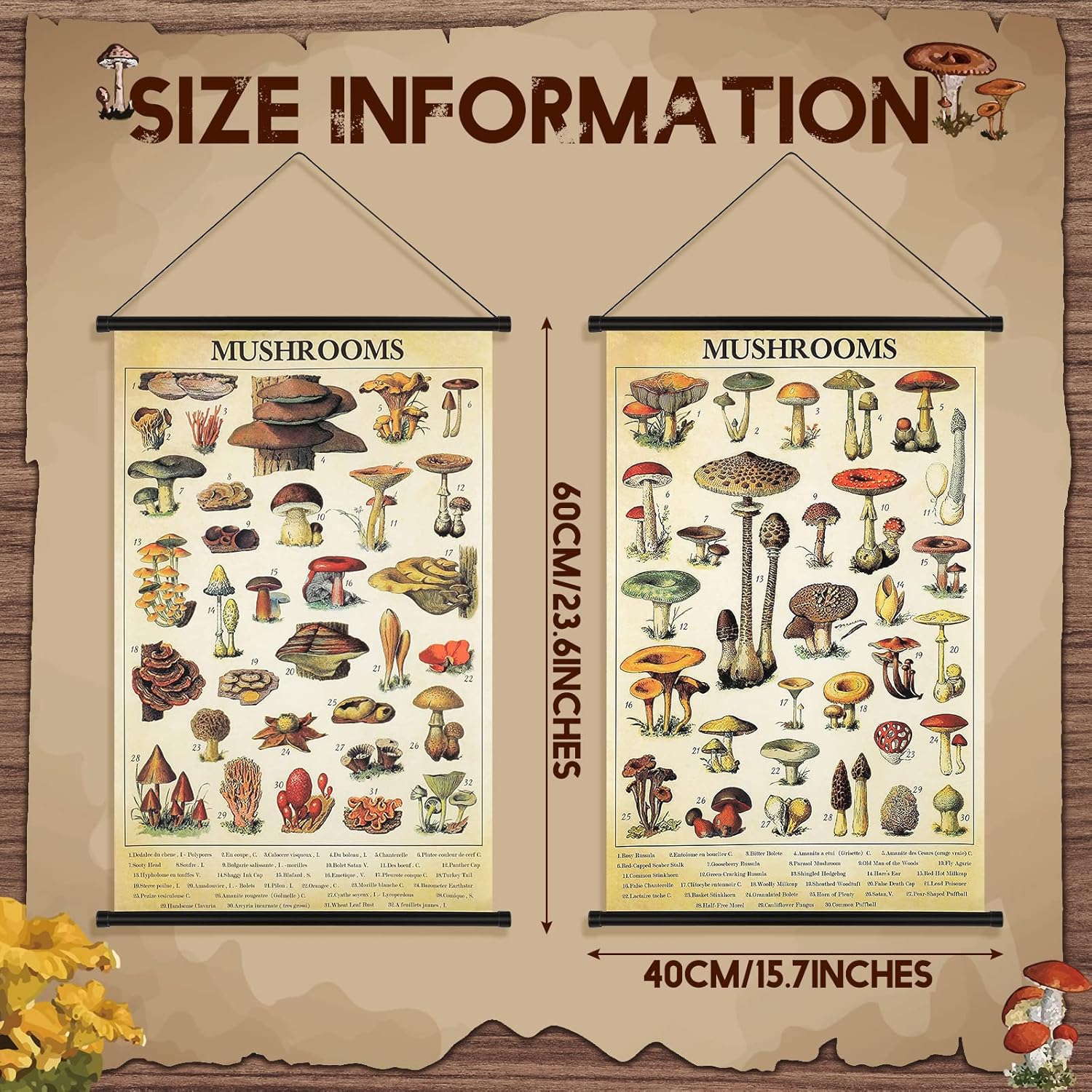 Geosar 2 Pcs Vintage Poster Fungus Art Prints Rustic Wall Hanging Illustrative Reference Chart Poster for Living Room Office Bedroom Decor Frame 1535 x 2362 InchesMushroom