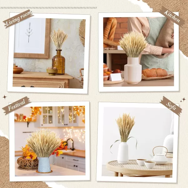 Geosar 600 Stems Dried Wheat Sheaves Natural Wheat Stalks Bundle Fall Arrangement Artificial Flowers Arrangement Farmhouse for DIY Wedding Table Home Centerpieces Party Decorative177 Inch177 Inch