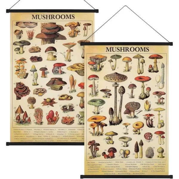 Geosar 2 Pcs Vintage Poster Fungus Art Prints Rustic Wall Hanging Illustrative Reference Chart Poster for Living Room Office Bedroom Decor Frame 1535 x 2362 InchesMushroom