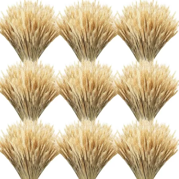 Geosar 600 Stems Dried Wheat Sheaves Natural Wheat Stalks Bundle Fall Arrangement Artificial Flowers Arrangement Farmhouse for DIY Wedding Table Home Centerpieces Party Decorative177 Inch177 Inch