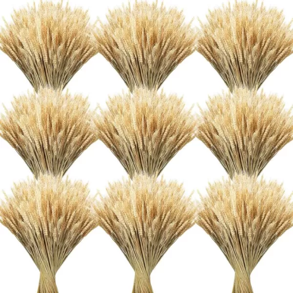 Geosar 600 Stems Dried Wheat Sheaves Natural Wheat Stalks Bundle Fall Arrangement Artificial Flowers Arrangement Farmhouse for DIY Wedding Table Home Centerpieces Party Decorative177 Inch16 Inch