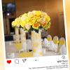 imageGeosar 8 Bundles Artificial Peonies Silk Flowers Fake Peony Bouquet Faux Peonies Flowers Bulk for Decoration Vase Florals Arrangements Wedding Home Party Table BlueYellow  Champagne