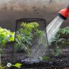 imageGeosar 20 Pcs 9 inch Chicken Wire Cloche Plant Protector Cover Metal Garden Cloche Dome for Plants Chicken Wire Protection Basket with Garden Stakes for Avoiding Rabbit Bird Small Animals Eat BlackBlack