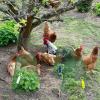 imageGeosar 20 Pcs 9 inch Chicken Wire Cloche Plant Protector Cover Metal Garden Cloche Dome for Plants Chicken Wire Protection Basket with Garden Stakes for Avoiding Rabbit Bird Small Animals Eat BlackGreen