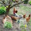 imageGeosar 20 Pcs 9 inch Chicken Wire Cloche Plant Protector Cover Metal Garden Cloche Dome for Plants Chicken Wire Protection Basket with Garden Stakes for Avoiding Rabbit Bird Small Animals Eat BlackWhite
