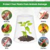 imageGeosar 20 Pcs 9 inch Chicken Wire Cloche Plant Protector Cover Metal Garden Cloche Dome for Plants Chicken Wire Protection Basket with Garden Stakes for Avoiding Rabbit Bird Small Animals Eat BlackWhite