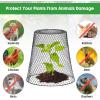 imageGeosar 20 Pcs 9 inch Chicken Wire Cloche Plant Protector Cover Metal Garden Cloche Dome for Plants Chicken Wire Protection Basket with Garden Stakes for Avoiding Rabbit Bird Small Animals Eat BlackBlack