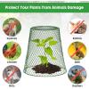 imageGeosar 20 Pcs 9 inch Chicken Wire Cloche Plant Protector Cover Metal Garden Cloche Dome for Plants Chicken Wire Protection Basket with Garden Stakes for Avoiding Rabbit Bird Small Animals Eat BlackGreen