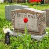 imageGeosar Cemetery Vases for Grave Metal Flower Butterfly Cemetery Vases Memorial Flower Holder with Spike Grave Marker Floral Cemetery Decorations for Grave Lawn Yard Outdoor FuneralMomGrandma