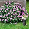 imageGeosar Cemetery Vases for Grave Metal Flower Butterfly Cemetery Vases Memorial Flower Holder with Spike Grave Marker Floral Cemetery Decorations for Grave Lawn Yard Outdoor FuneralMomGrandma