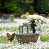 imageMom Memorial Stakes Cemetery Grave Plaque Stake Markers Memorial Butterfly Plaques for Outdoors Sympathy Garden Stake Acrylic Waterproof Garden Grave DecorationCute StyleRetro Style