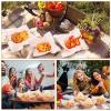 imageGeosar 100 Pcs Gingham Party Supply Disposable Paper Food Tray Bulk Disposable Food Boat with Checkered Wax Paper Sheet Checkered Wrapping Supply for Carnival Picnic Birthday Party Orange BlackOrange