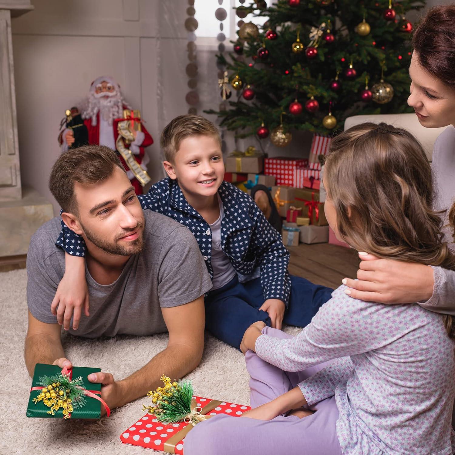 imageGeosar 24 Pieces Christmas Artificial Greenery Pine Branches Small Holly Artificial Berries Picks Bulk for Crafts Wreath Decorations Xmas Tree Party Gift for Christmas Holiday Decor RedGold