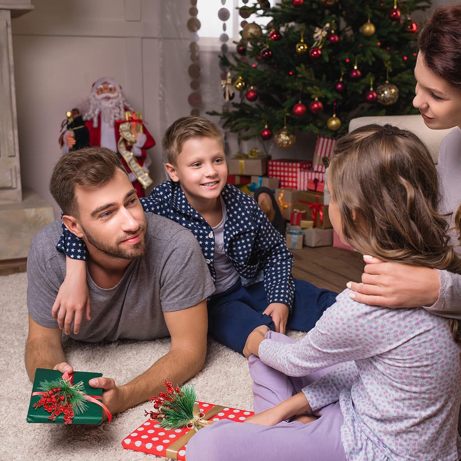 imageGeosar 24 Pieces Christmas Artificial Greenery Pine Branches Small Holly Artificial Berries Picks Bulk for Crafts Wreath Decorations Xmas Tree Party Gift for Christmas Holiday Decor RedRed