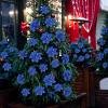 image24 Christmas Glitter Artificial Poinsettia Flowers Xmas Poinsettia Artificial Wedding Flowers Decorations Xmas Tree Ornaments with Clips for Party Favors 6 Inch 4 Inch 3 Inch Silver and BlueRoyal Blue
