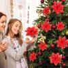 imageGeosar 36 Pcs Christmas Glitter Artificial Poinsettia Flowers Xmas Poinsettia Artificial Wedding Flowers Decorations Xmas Tree Ornaments with Clips for Party 6 Inch 4 Inch 3 InchRose GoldRed