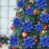 imageGeosar 36 Pcs Christmas Glitter Artificial Poinsettia Flowers Xmas Poinsettia Artificial Wedding Flowers Decorations Xmas Tree Ornaments with Clips for Party 6 Inch 4 Inch 3 InchRose GoldRoyal Blue