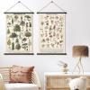 image:imageGeosar 2 Pcs Vintage Mushroom Flower Butterfly Tree Poster Fungus Rustic Wall Hanging Illustrative Reference Chart Poster for Bedroom Living Room 157 x 236 InchButterfly MushroomFlower  Tree