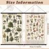 image:imageGeosar 2 Pcs Vintage Mushroom Flower Butterfly Tree Poster Fungus Rustic Wall Hanging Illustrative Reference Chart Poster for Bedroom Living Room 157 x 236 InchButterfly MushroomFlower  Tree
