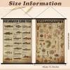 image:imageGeosar 2 Pcs Vintage Mushroom Flower Butterfly Tree Poster Fungus Rustic Wall Hanging Illustrative Reference Chart Poster for Bedroom Living Room 157 x 236 InchButterfly MushroomOcean