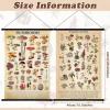 image:imageGeosar 2 Pcs Vintage Mushroom Flower Butterfly Tree Poster Fungus Rustic Wall Hanging Illustrative Reference Chart Poster for Bedroom Living Room 157 x 236 InchButterfly MushroomMushroom Flower