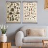 image:imageGeosar 2 Pcs Vintage Mushroom Flower Butterfly Tree Poster Fungus Rustic Wall Hanging Illustrative Reference Chart Poster for Bedroom Living Room 157 x 236 InchButterfly MushroomFlower  Tree