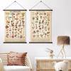 image:imageGeosar 2 Pcs Vintage Mushroom Flower Butterfly Tree Poster Fungus Rustic Wall Hanging Illustrative Reference Chart Poster for Bedroom Living Room 157 x 236 InchButterfly MushroomMushroom Flower