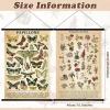 image:imageGeosar 2 Pcs Vintage Mushroom Flower Butterfly Tree Poster Fungus Rustic Wall Hanging Illustrative Reference Chart Poster for Bedroom Living Room 157 x 236 InchButterfly MushroomButterfly Flower