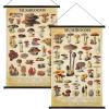 image:imageGeosar 2 Pcs Vintage Mushroom Flower Butterfly Tree Poster Fungus Rustic Wall Hanging Illustrative Reference Chart Poster for Bedroom Living Room 157 x 236 InchButterfly MushroomVintage Mushroom