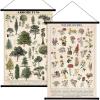 image:imageGeosar 2 Pcs Vintage Mushroom Flower Butterfly Tree Poster Fungus Rustic Wall Hanging Illustrative Reference Chart Poster for Bedroom Living Room 157 x 236 InchButterfly MushroomFlower  Tree