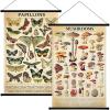 image:imageGeosar 2 Pcs Vintage Mushroom Flower Butterfly Tree Poster Fungus Rustic Wall Hanging Illustrative Reference Chart Poster for Bedroom Living Room 157 x 236 InchButterfly MushroomButterfly  Mushroom