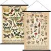 image:imageGeosar 2 Pcs Vintage Mushroom Flower Butterfly Tree Poster Fungus Rustic Wall Hanging Illustrative Reference Chart Poster for Bedroom Living Room 157 x 236 InchButterfly MushroomButterfly Flower