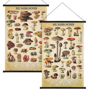 image:imageGeosar 2 Pcs Vintage Mushroom Flower Butterfly Tree Poster Fungus Rustic Wall Hanging Illustrative Reference Chart Poster for Bedroom Living Room 157 x 236 InchButterfly MushroomVintage Mushroom