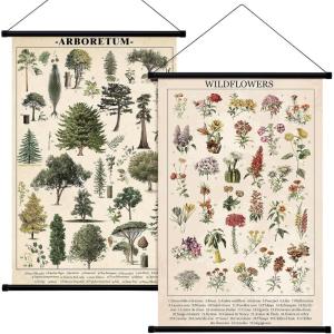 image:imageGeosar 2 Pcs Vintage Mushroom Flower Butterfly Tree Poster Fungus Rustic Wall Hanging Illustrative Reference Chart Poster for Bedroom Living Room 157 x 236 InchButterfly MushroomFlower  Tree