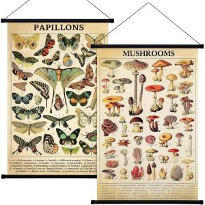 image:imageGeosar 2 Pcs Vintage Mushroom Flower Butterfly Tree Poster Fungus Rustic Wall Hanging Illustrative Reference Chart Poster for Bedroom Living Room 157 x 236 InchButterfly MushroomButterfly  Mushroom