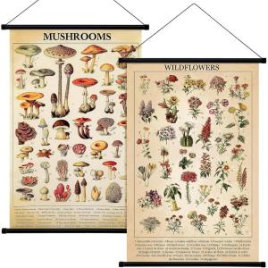 image:imageGeosar 2 Pcs Vintage Mushroom Flower Butterfly Tree Poster Fungus Rustic Wall Hanging Illustrative Reference Chart Poster for Bedroom Living Room 157 x 236 InchButterfly MushroomMushroom Flower