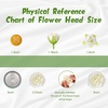image:imageGeosar 16 Bundles Artificial Peonies Flowers Fake Silk Peony Bouquet Faux Peonies Flowers Bulk for Decoration Vase Floral Arrangements Wedding Party Table Royal BlueWhiteGreen  White