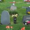 image:imageGeosar Fathers Day Dad Memorial Stakes Grave Cemetery Decorations Metal Feather Father Cemetery Markers Plaque with Spike Flower Holder for Loss Loved Ones Burial Ground Lawn Yard Funeral DecorDad