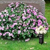image:imageGeosar Fathers Day Dad Memorial Stakes Grave Cemetery Decorations Metal Feather Father Cemetery Markers Plaque with Spike Flower Holder for Loss Loved Ones Burial Ground Lawn Yard Funeral DecorGrandpa