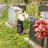 image:imageGeosar Fathers Day Dad Memorial Stakes Grave Cemetery Decorations Metal Feather Father Cemetery Markers Plaque with Spike Flower Holder for Loss Loved Ones Burial Ground Lawn Yard Funeral DecorGrandpa Feather